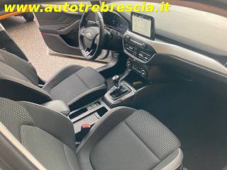 FORD Focus usata, con Fendinebbia