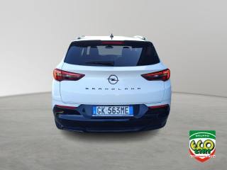 OPEL Grandland usata, con Chiusura centralizzata