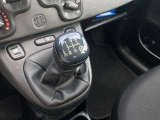 FIAT Panda usata 14