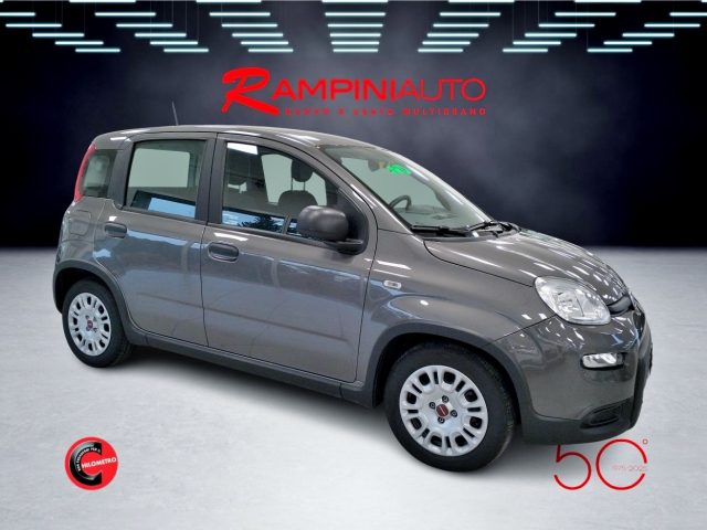 FIAT Panda usata 4