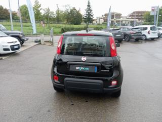 FIAT Panda usata, con Antifurto