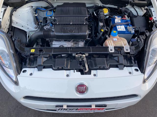 FIAT Punto usata 14