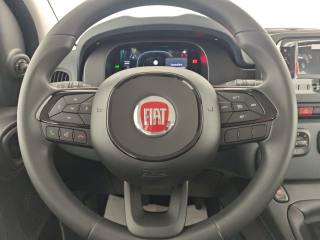 FIAT Panda usata, con Frenata d