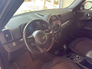 MINI Countryman usata, con Cruise Control