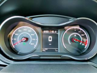 AIXAM City usata, con Autoradio digitale