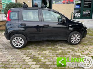 FIAT Panda usata, con Airbag testa