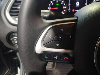 JEEP Renegade usata, con ESP