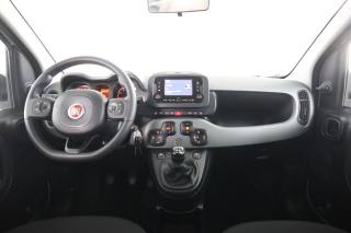 FIAT Panda usata 4