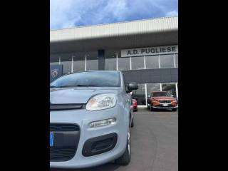 FIAT Panda usata, con ESP