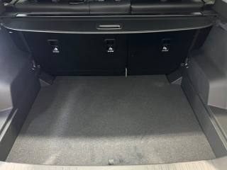 JAECOO Jaecoo 7 usata, con Controllo trazione