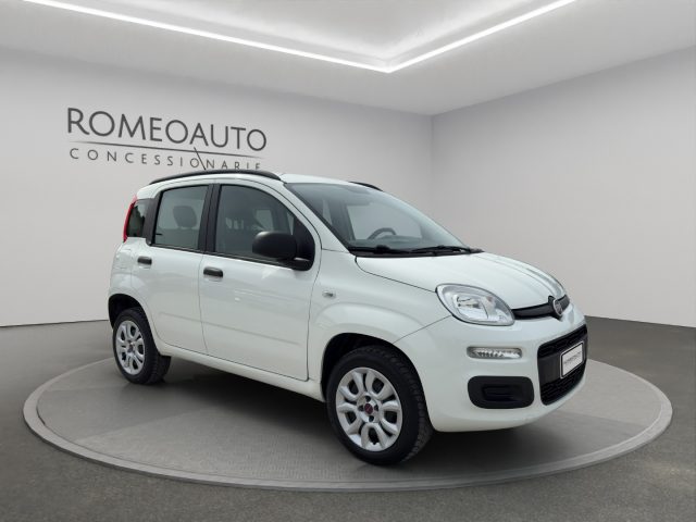 FIAT Panda usata 7