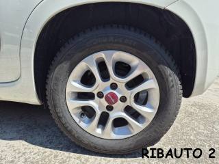 FIAT Panda usata, con Airbag Passeggero