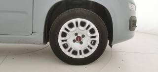 FIAT Panda usata 16