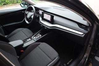 SKODA Octavia usata 150