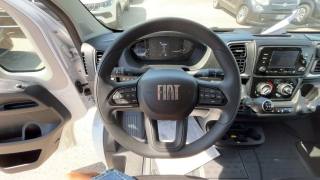 FIAT Ducato usata, con ESP
