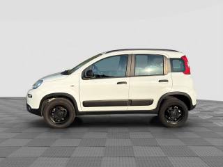 FIAT Panda usata 1
