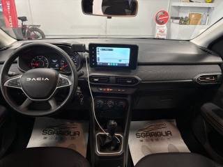 DACIA Sandero usata, con Boardcomputer