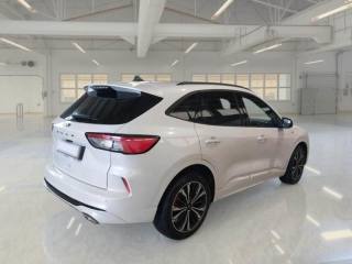 FORD Kuga usata, con Controllo trazione