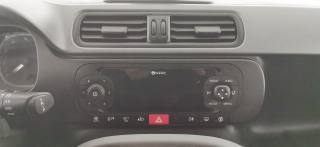 FIAT Panda usata 37