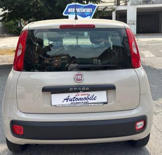 FIAT Panda usata, con Alzacristalli elettrici