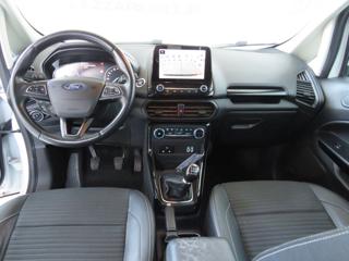 FORD EcoSport usata, con Fendinebbia