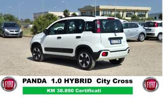 FIAT Panda Cross usata, con Antifurto