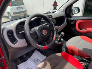 FIAT Panda usata, con Fendinebbia