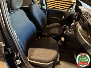 FIAT Panda usata 13