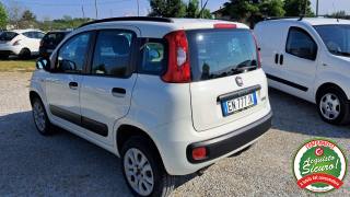 FIAT Panda usata, con Immobilizzatore elettronico