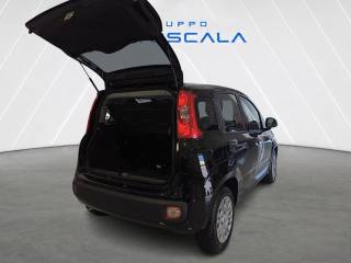 FIAT New Panda usata, con Bluetooth