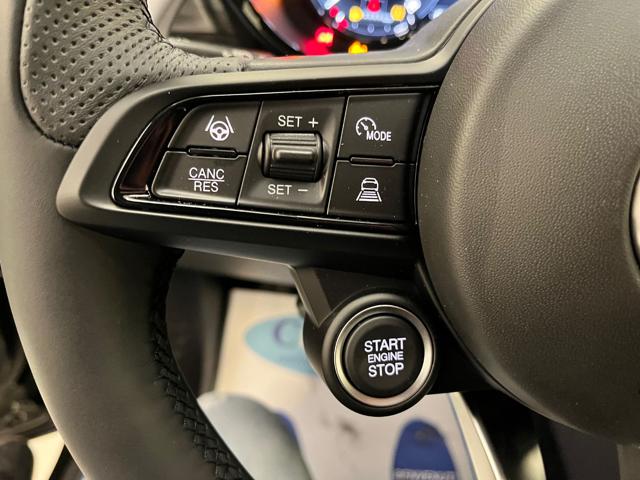 ALFA ROMEO Tonale usata, con Climatizzatore