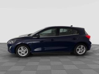 FORD Focus usata 1