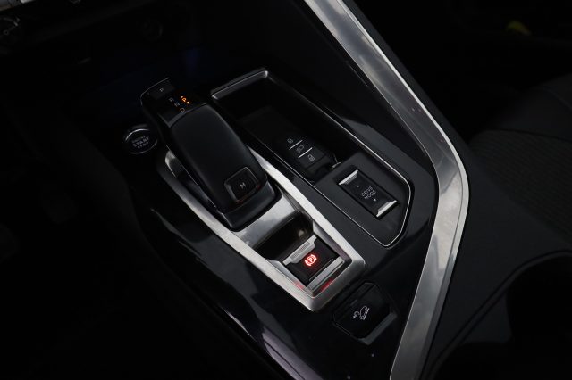 PEUGEOT 3008 usata 13