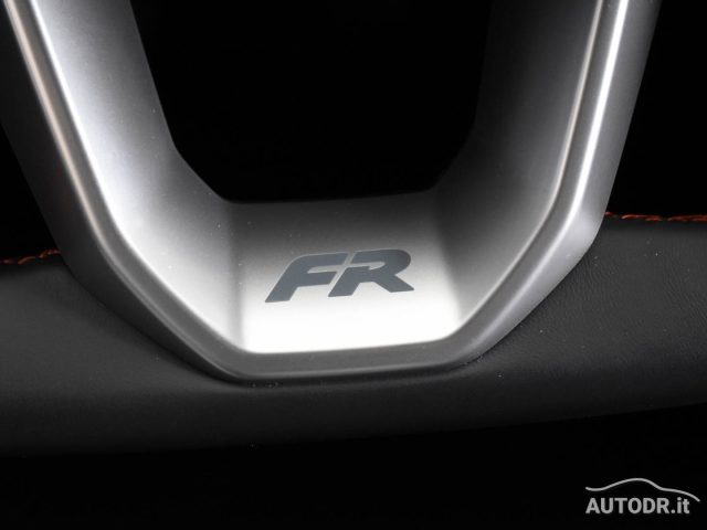 SEAT Ibiza usata, con Volante multifunzione