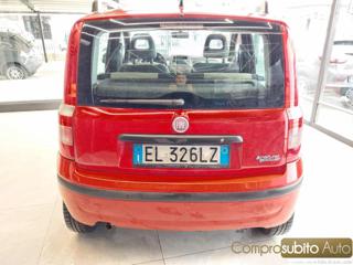 FIAT Panda usata 7