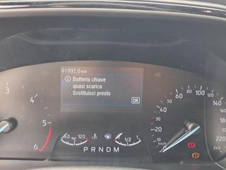FORD Focus usata, con Sedile posteriore sdoppiato