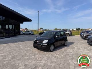 FIAT Panda 1.0 FireFly S&S Hybrid ANCHE NEOPATENTATI