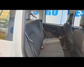 FIAT Panda usata 17