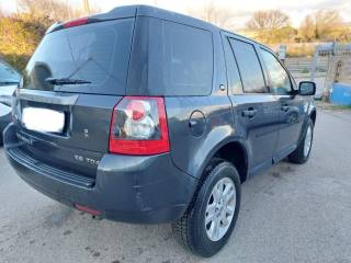 LAND ROVER Freelander usata 5