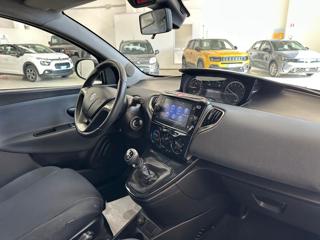LANCIA Ypsilon usata, con Fendinebbia
