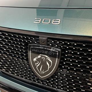 PEUGEOT 308 usata, con Bluetooth