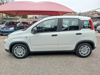 FIAT Panda usata, con Alzacristalli elettrici
