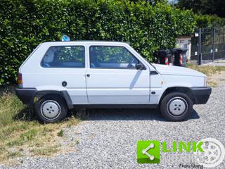 FIAT Panda usata 2