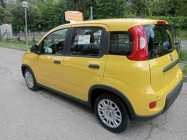 FIAT Panda usata, con Servosterzo