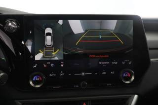 LEXUS RX 450h usata 11