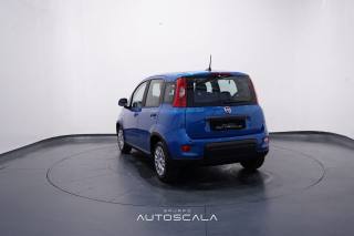 FIAT Panda usata, con Alzacristalli elettrici