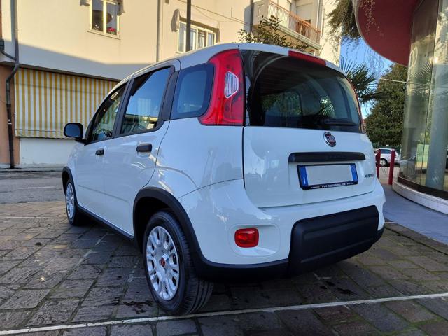 FIAT Panda usata, con Airbag Passeggero