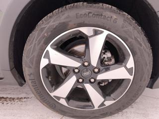 FORD Focus usata, con Supporto lombare
