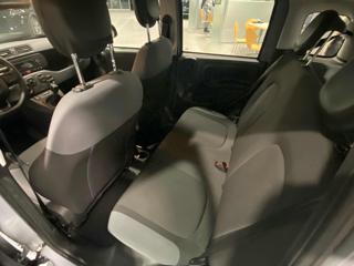 FIAT Panda usata 10