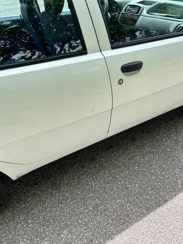 FIAT Punto usata 6